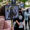 Manifestación por la liberación de los animales de Laboratorios Vivotecnia