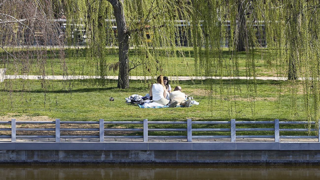 Madrid invertirá 150 millones al año en mantenimiento de zonas verdes