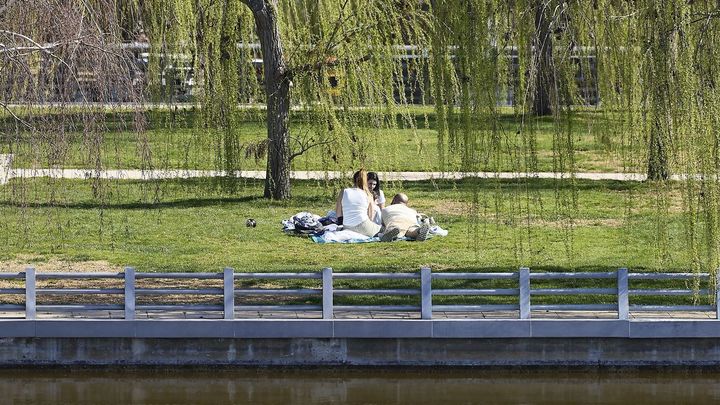 Madrid invertirá 150 millones al año en mantenimiento de zonas verdes