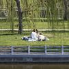 Madrid invertirá 150 millones al año en mantenimiento de zonas verdes