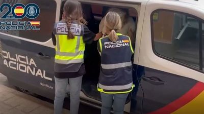 Golpe a una red que logró 500.000 euros con el timo del sicario a clientes de prostitución