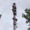 Las cigüeñas dejan sin cobertura móvil a los vecinos de Soto del Real