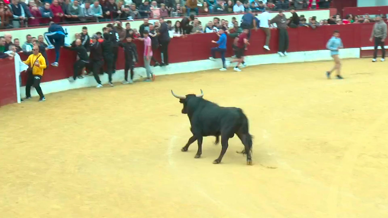 Valdemoro celebra encierros 16 años después por sus fiestas patronales