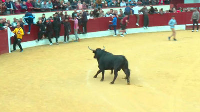 Valdemoro celebra encierros 16 años después por sus fiestas patronales