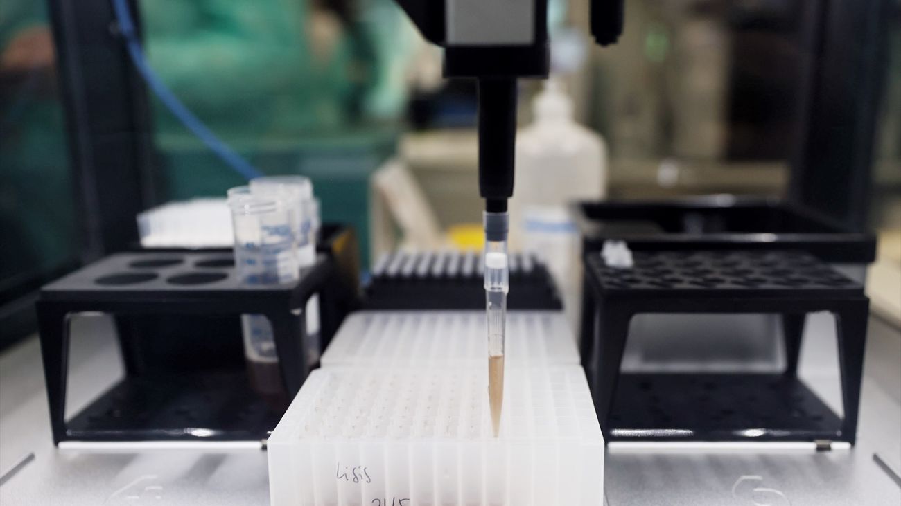 Pueba PCR