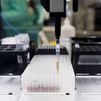 Pueba PCR