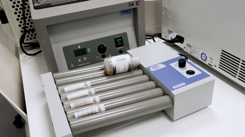 Da negativo la PCR de la barcelonesa que tuvo contacto con una fallecida por hantavirus