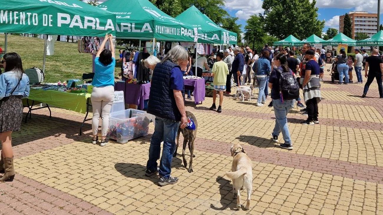 Feria de adopción de mascotas en Parla