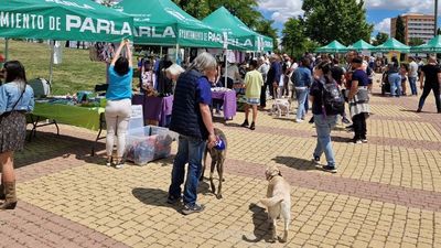 Diez años fomentando la adopción responsable de mascotas en Parla
