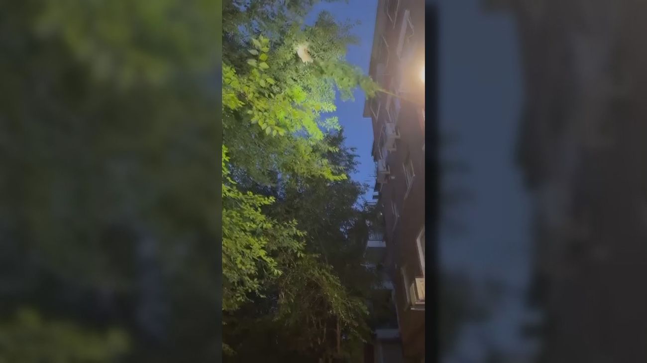 Vecinos y bomberos trabajan juntos para rescatar un gato en Torrejón de Ardoz