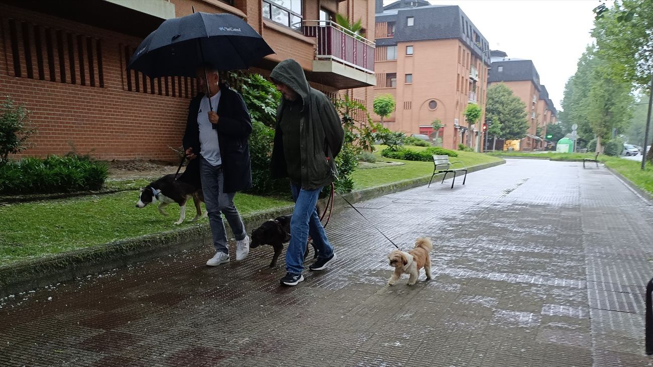 Paseo bajo la lluvia