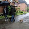 El tiempo "invernal" en España en plena primavera