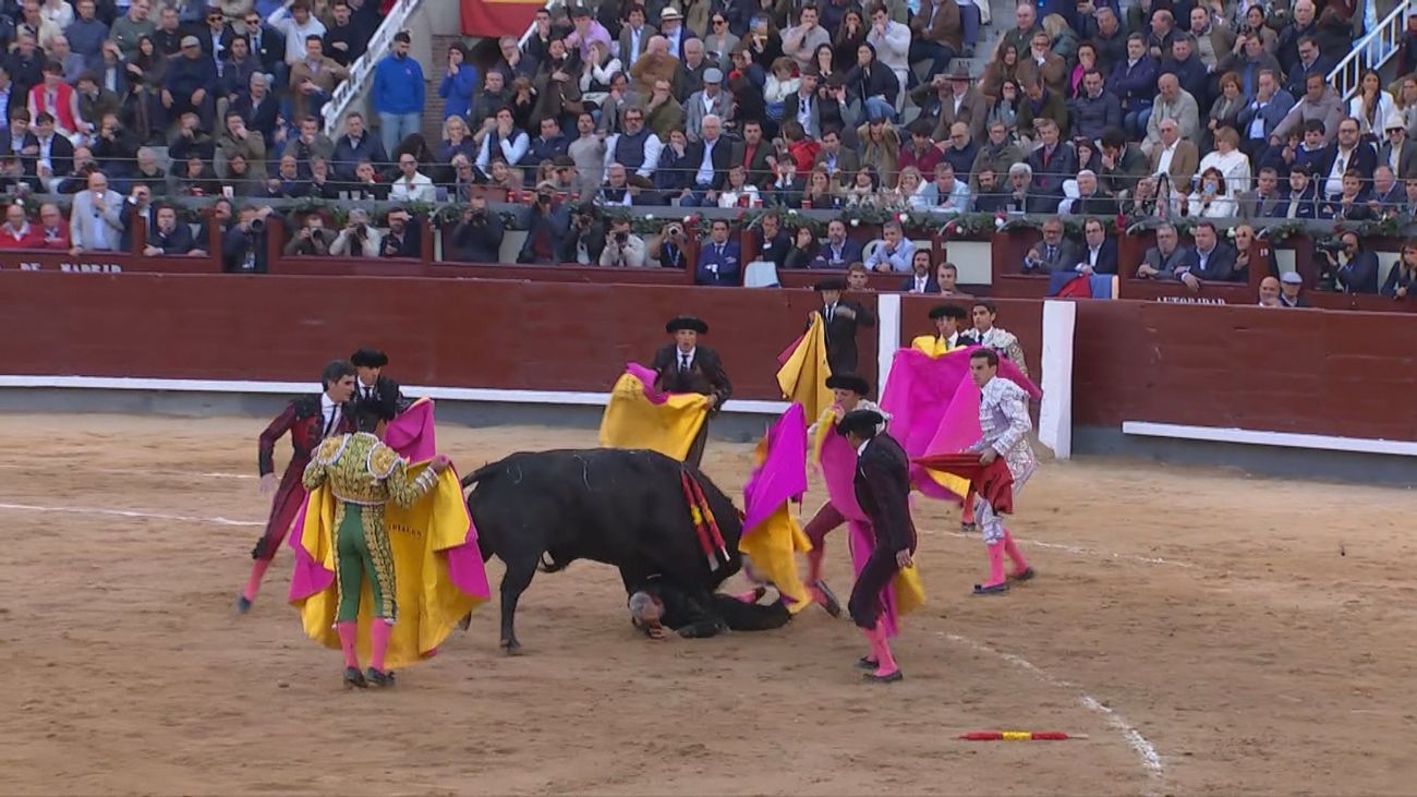 Curro Javier herido