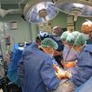 España vuelve a fulminar un récord en trasplantes: 39 donantes de órganos en 48 horas