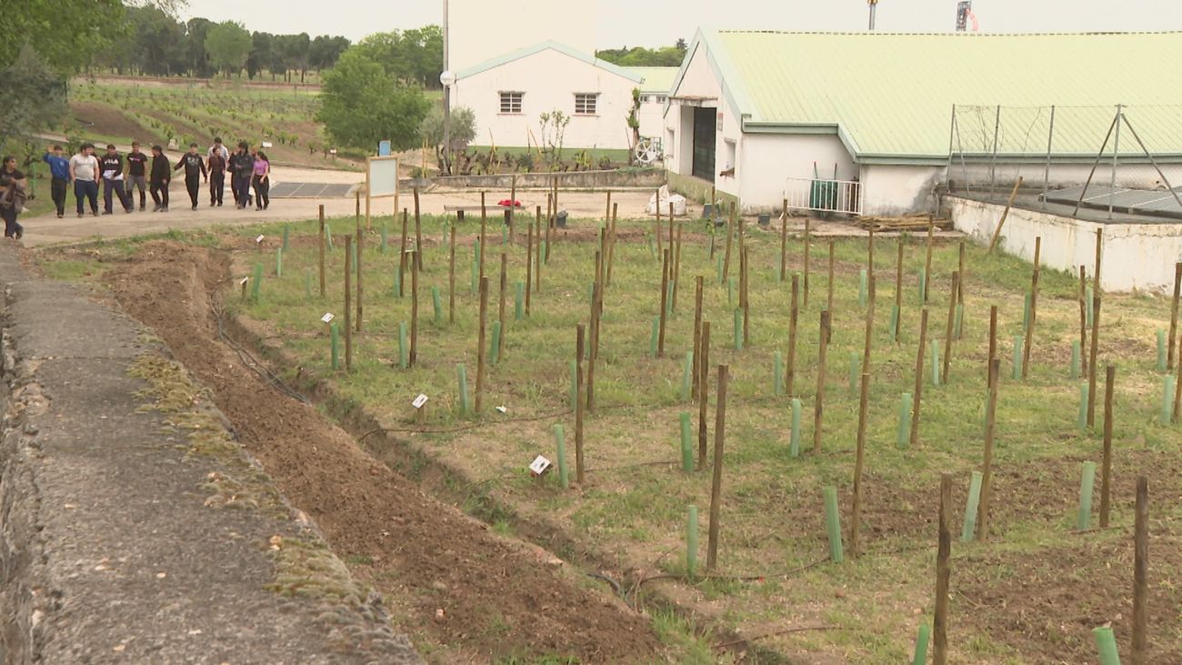 La 'Escuela de la Vid', referente en la enseñanza agropecuaria en la región