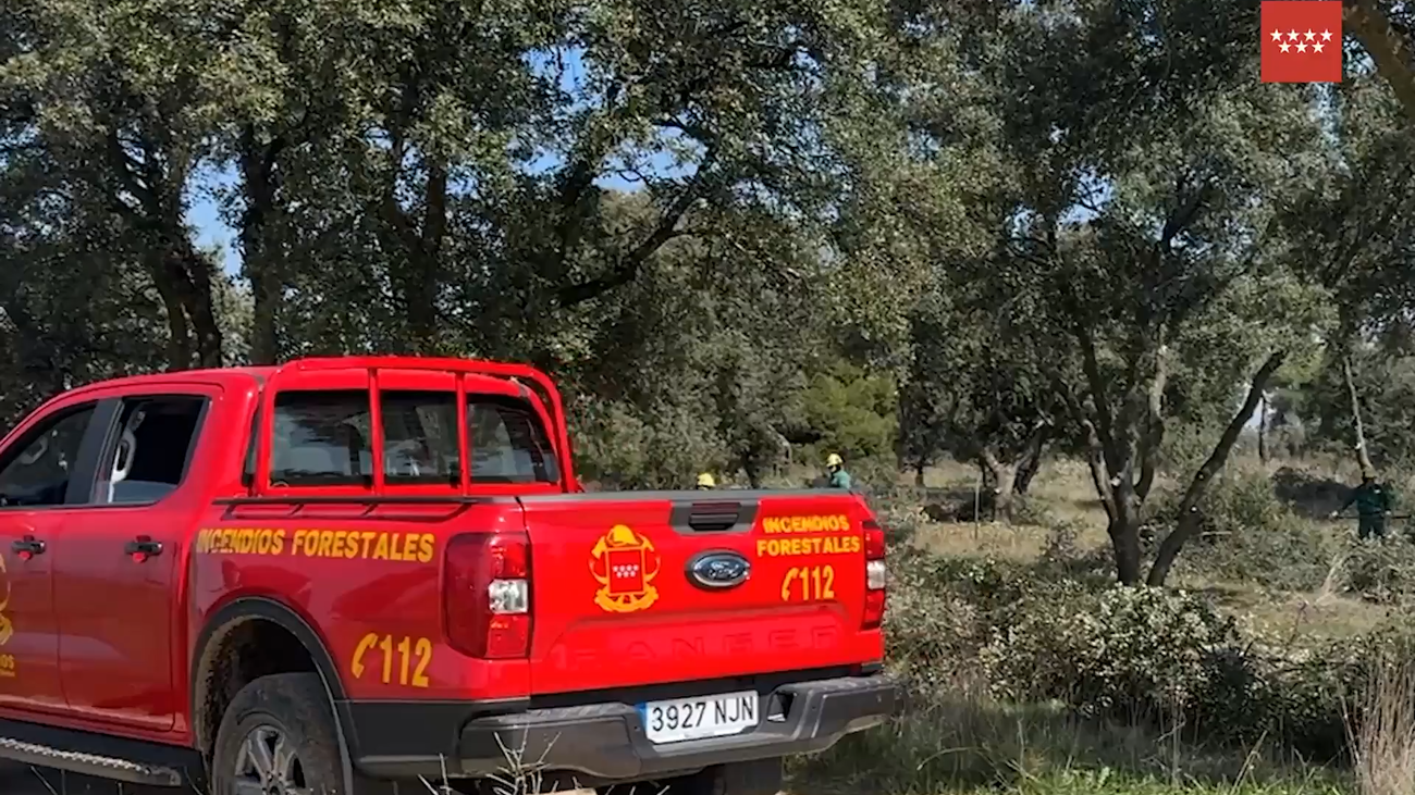 La Comunidad de Madrid actúa sobre más de 5.200 hectáreas forestales para prevenir incendios este verano