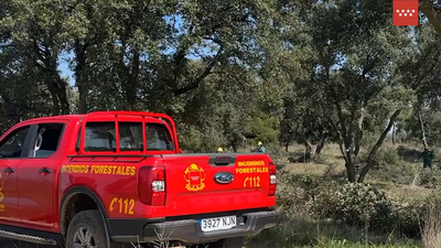 La Comunidad de Madrid actúa sobre más de 5.200 hectáreas forestales para prevenir incendios este verano