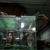 Elecciones en Andalucía: Vox da el 'sorpaso' al PSOE en Almería al 91,46 % del escrutinio