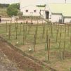 La 'Escuela de la Vid', referente en la enseñanza agropecuaria en la región