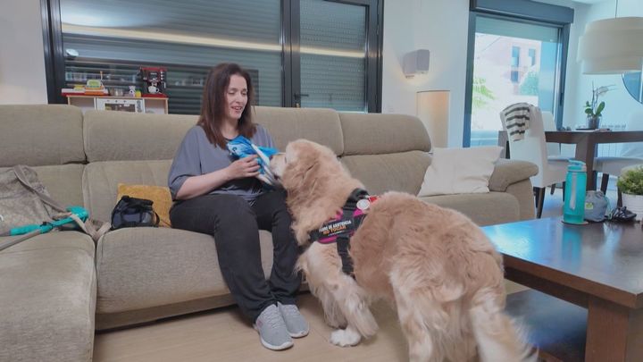 Perro grande en casa pequeña, una tendencia al alza
