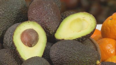 Del desayuno a la repostería: los usos y beneficios del aguacate