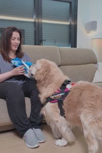 Mucho más que compañía: así es la labor de los perros de asistencia