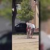 Detenido un hombre por matar a su expareja en plena calle en Figueres (Gerona)