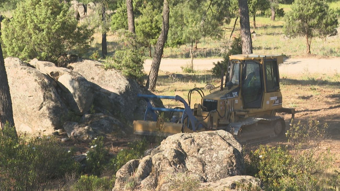 Desbroces y podas, así trabajan los bomberos de Madrid para prevenir incendios forestales