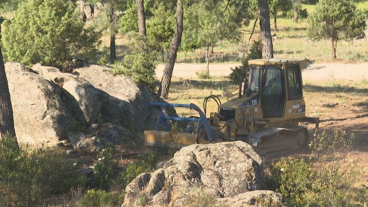 Madrid refuerza la prevención de incendios forestales