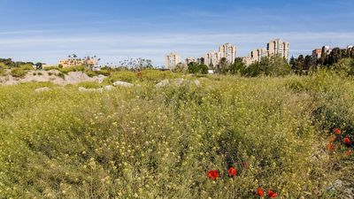 Vecinos de Carabanchel reclaman a todas las administraciones aclarar sus planes para los terrenos de la cárcel