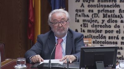 El auditor de 'Plus Ultra' vio "alguna factura" de la empresa Análisis Relevante