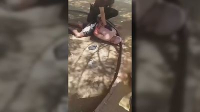 El alcalde de Figueras denuncia un fallo del sistema que no protegió a la mujer asesinada por su expareja