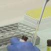 España se consolida como motor europeo de ensayos clínicos