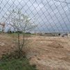 El juez paraliza "con carácter inmediato" las obras del cantón de Montecarmelo