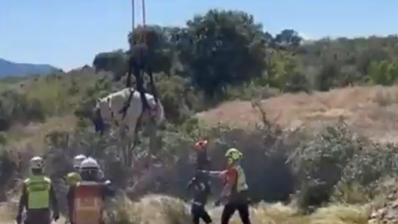 Bomberos rescatan en Navas del Rey una yegua atrapada en un pozo