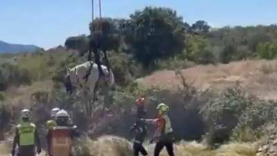 Bomberos rescatan en Navas del Rey una yegua atrapada en un pozo
