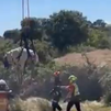 Bomberos rescatan en Navas del Rey una yegua atrapada en un pozo