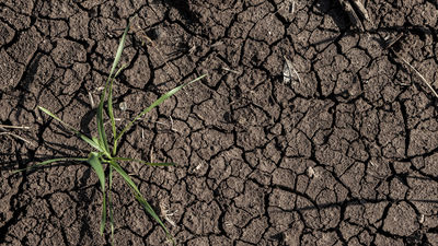 BioSoil, la startup que 'hackea' bacterias para recuperar suelos agrícolas degradados