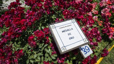 Una floribunda alemana gana el concurso de rosas nuevas de la Villa de Madrid