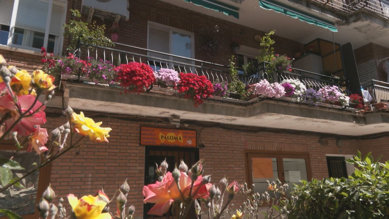 Manzanares el Real busca el balcón y el jardín más bonitos del municipio entre flores, rosales y mucha dedicación
