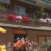 Manzanares el Real busca el balcón y el jardín más bonitos del municipio entre flores, rosales y mucha dedicación