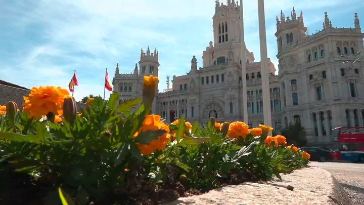 Madrid se engalana con 100.000 flores para recibir al Papa