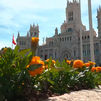 Madrid se engalana con 100.000 flores para recibir al Papa