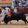 Oreja para un firme David de Miranda