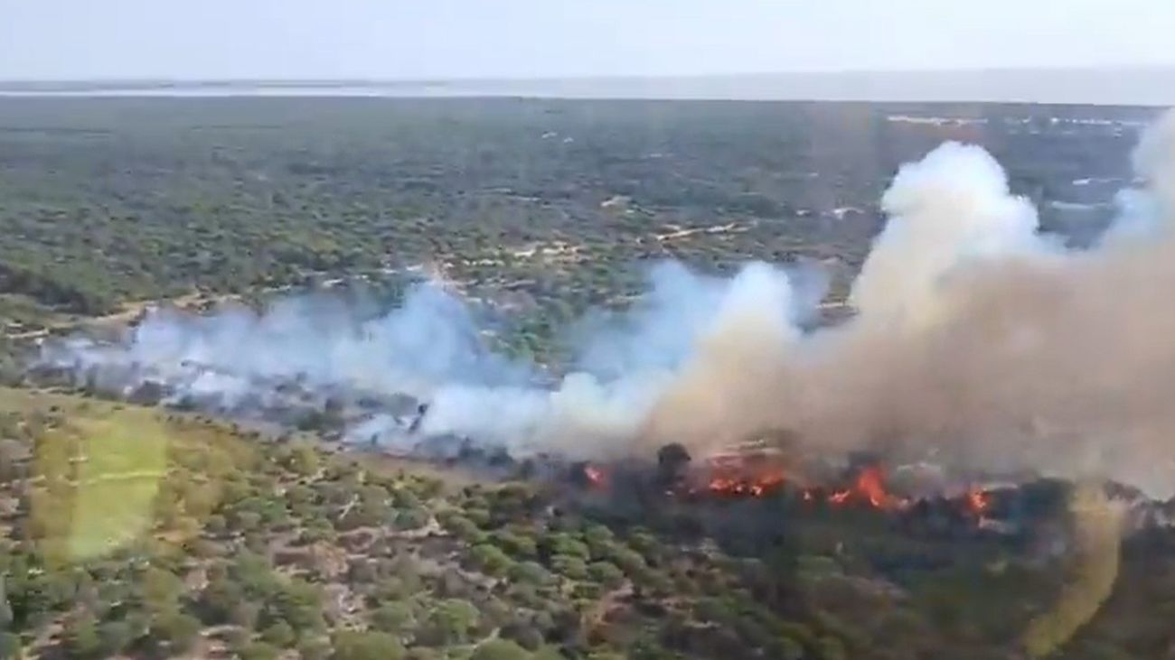 Se incorporan 11 medios aéreos a las labores de extinción del incendio de Doñana