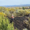 Extinguen un incendio de vegetación en la M-50 a la altura de Majadahonda