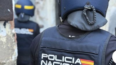 Desmantelan en Almería una red de plantaciones de marihuana con diez detenidos