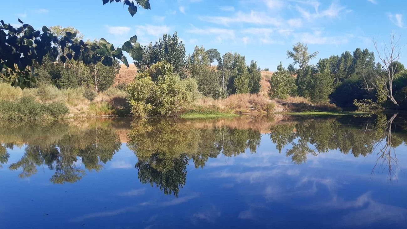 Laguna de Valchico, humedal que forma parte del Corredor Ecológico del Suroeste