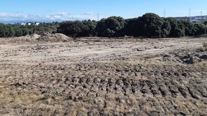 Movimiento de terrenos y arrase de vegetación en el entorno del Corredor Ecológico del Suroeste / P.O.