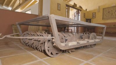 Brea de Tajo y su tradición olivarera centenaria